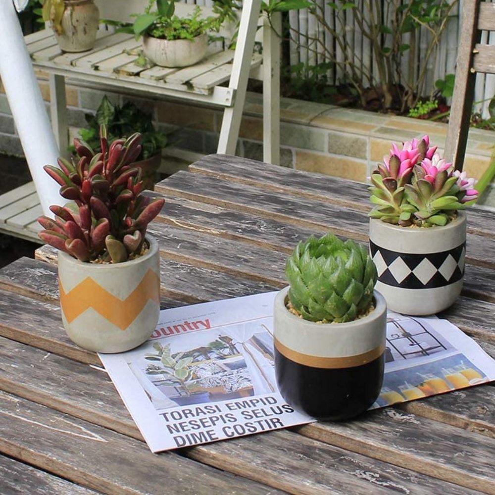 🌻NEW🌻 Modern Farmhouse Succulent Plant Pots - Picture 3 of 8